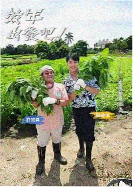幕后对谈 访谈综艺海报